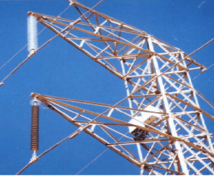 Photo 3: In-service insulator test structure
